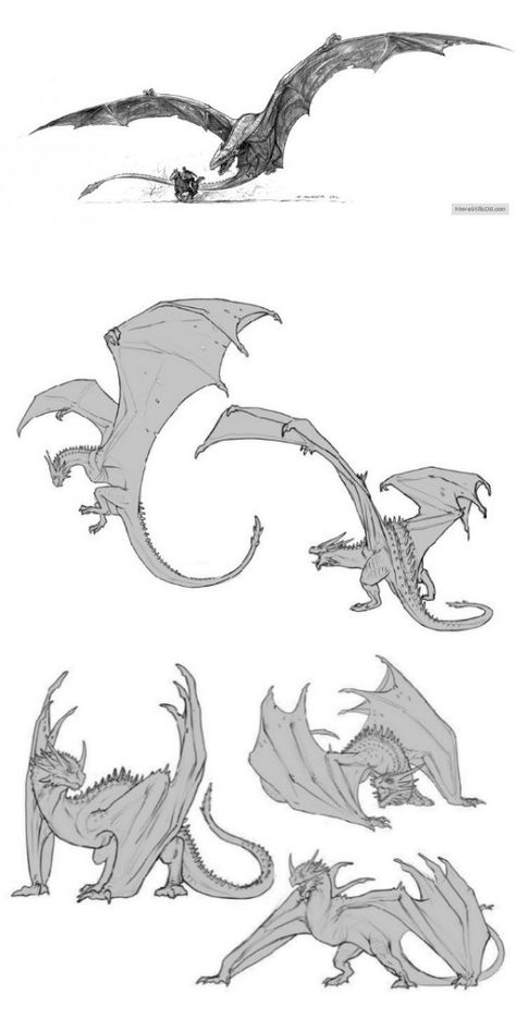 Art Mythical Creatures, Dragon Poses, Dragon Anatomy, Gfx Design, Dragon Sketch, Creatures Art, Creature Drawings, Dragon Pictures, Monster Concept Art