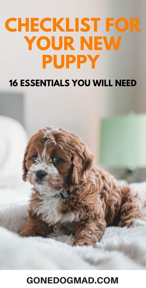 New Puppy Checklist, Dog Advice, Train Your Dog, Getting A Puppy, Aggressive Dog, Puppy Care, Dog Obedience, Dog Training Obedience, Dog Boarding