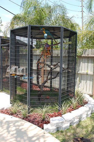 Bird cage Bird Cage Ideas, Macaw Cage, Hotel Pet, Pet Bird Cage, Large Bird Cages, Bird House Kits, Bird Aviary, Parrot Cage, Parrot Toys