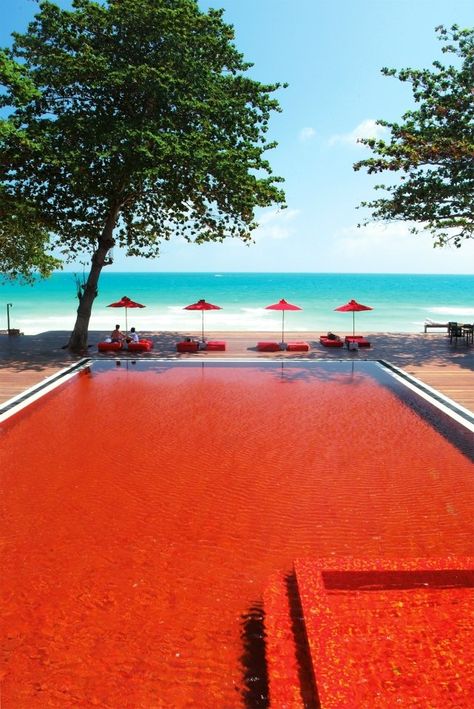 The Library The Red pool in Koh Samui, Thailand Red Swimming Pool, Best Swimming Pools, Jade Mountain Resort, Cool Swimming Pools, Resort Pools, Swim Spa, Relax Spa, Hotel Pool, Vacation Deals