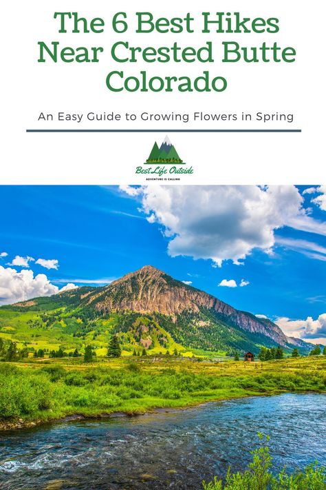 The 6 Best Hikes Near Crested Butte Colorado Crested Butte Wildflower Hikes, Gunnison Colorado, Colorado Vacation Summer, Camping Colorado, Colorado Wildflowers, Colorado Trail, Crested Butte Colorado, Cold Weather Camping, Colorado Summer