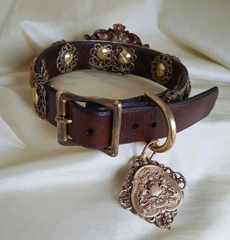 Royal Dog Collar, Aesthetic Pet Collar, Dog Collars Aesthetic, Borzoi Collar, Aesthetic Dog Collar, Cat Collar Aesthetic, Dog Collar Aesthetic, Old Money Dog, Fancy Dog Collar