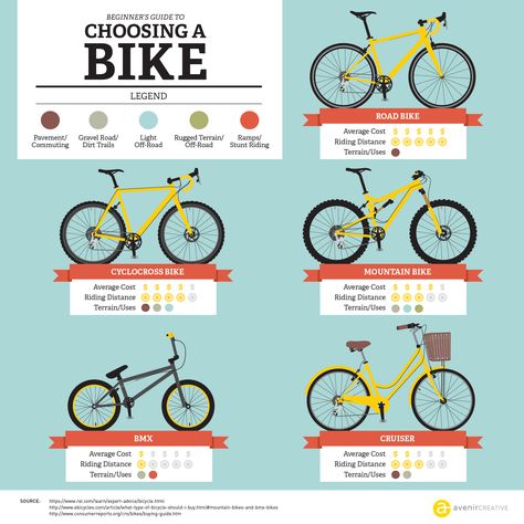 It's finally summer and biking season is here! Depending on what you are looking for in a bike, there are a number of bicycle options to pick from. Our in Bike Types, Benefits Of Cycling, Standing Abs Workout, Logo Bike, Bicycle Cafe, Timeline Infographic Design, Bmx Cruiser, Bike Adventure, Bicycle Safety