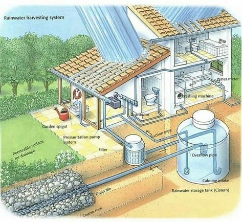 Water Collection System, Eco Construction, Rainwater Harvesting System, Earthship Home, Water Collection, Rainwater Harvesting, Earth Homes, Passive House, Rain Water Collection