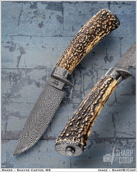 I submit to you 'BEST Hunter' @ShayneCarterKnives MS. Shayne is respected by all, and turns heads with his building skills. A he should. Popcorn Stag: 4.5" / 10" OAL Unbridled talent! Knife Photography, Hunter Knife, Black Smithing, Knife Design, Handmade Knives, Knife Making, Blacksmithing, Popcorn, Pocket Knife