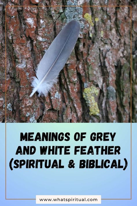 9 Meanings of Grey and White Mixed Feather (Spiritual & Biblical) 2 Feathers Spiritual Meaning, Grey Feather Spiritual Meaning, Grey Feather Meaning, White Feather Meaning, Feather Tattoo Meaning, Feather Meaning, Angelic Realm, Different Birds, Trust Your Instincts