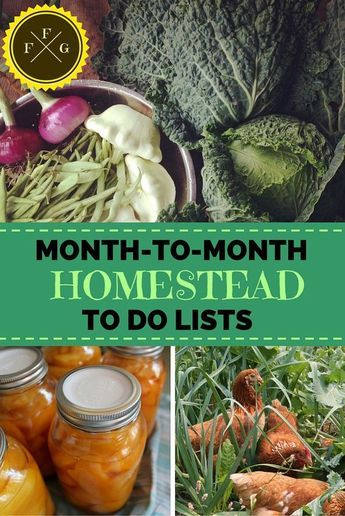 Homestead To Do List, Super Organized, Homesteading Diy, Homestead Farm, Homestead Gardens, Homesteading Skills, Homestead Living, To Do Lists, Urban Homesteading