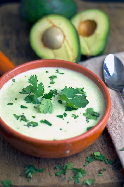 Cilantro Soup, Cream Soups, Cream Soup Recipes, Avocado Soup, Fresh Avocado, Tasty Kitchen, Food Soup, Cream Soup, Recipe Community