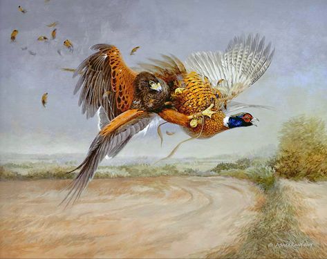 Falconry Art: Painting of a Harris Hawk striking a cock pheasant. Acrylic on canvas board by artist Asaad Raoof, 2007. Pheasant Art, Hunting Painting, Harris Hawk, Pheasant Hunting, Realistic Paintings, Canvas Board, Pheasant, Acrylic On Canvas, Sculpture Art