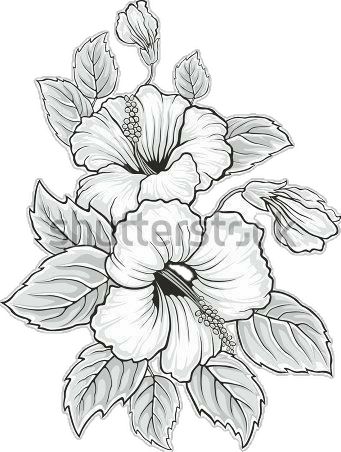 Model Tattoo, Flowers Illustration, Trendy Flowers, Tropical Flower, Beautiful Bouquet Of Flowers, Flower Coloring Pages, Beautiful Backgrounds, Flower Illustration, Hibiscus Flowers