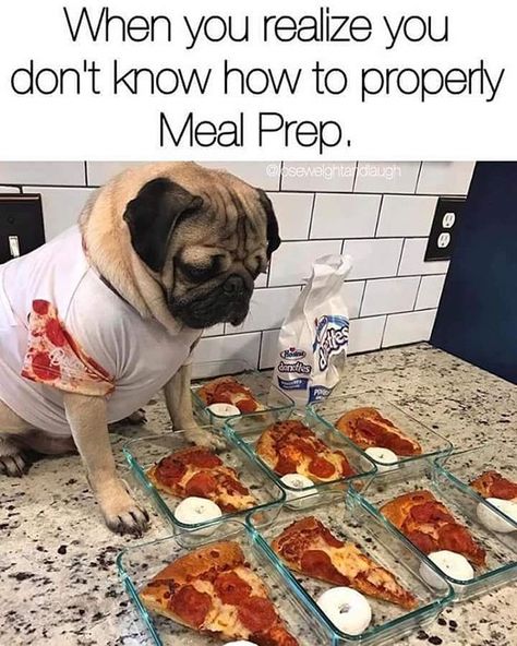 So me!!  #pizza #mealprep #dog #yum #healthy #not #dontjudgeme #funny #funnymemes Pizza Meme, Powerlifting Motivation, Fitness Humor, Diet Humor, Pizza Funny, Fitness Video, A Pug, Gym Memes, What Do You Mean