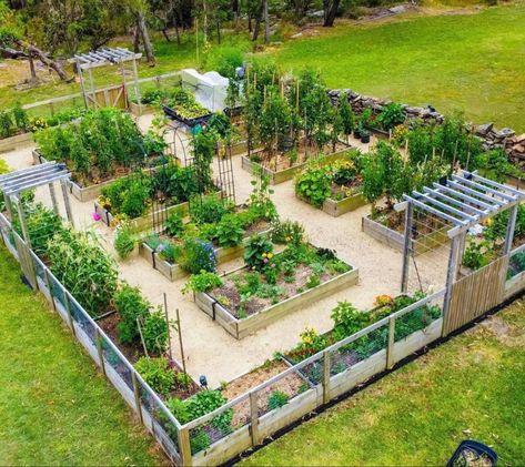 Fenced Vegetable Garden, Vegetable Garden Planning, Homestead Gardens, Potager Garden, Veg Garden, Home Vegetable Garden, Greenhouse Gardening, Vegetable Garden Design, Garden Landscape Design