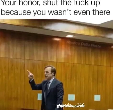 me as a lawyer id say Your Honor, Bad Memes, Better Call Saul, Silly Images, Silly Me, What’s Going On, Really Funny Pictures, Breaking Bad, Funny Me