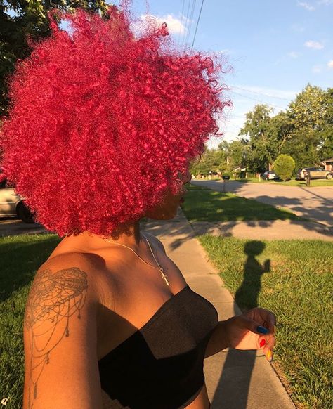 Pink Afro, Short Dyed Hair, Curly Afro Hair, Hair Doctor, Dyed Curly Hair, Hair Black Women, Curls Hairstyles, Hair Streaks, Dyed Hair Inspiration