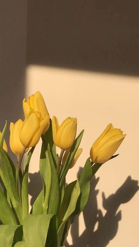 Yellow Aesthetic Pastel, Vintage Flowers Wallpaper, Wallpaper Flower, Nothing But Flowers, Yellow Tulips, Flower Therapy, Flowers Wallpaper, Yellow Wallpaper, Yellow Aesthetic