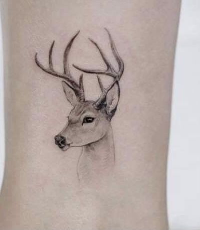 Baby Deer Tattoo, Deer Antler Tattoo, Deer Tattoos, Deer Head Tattoo, Antler Tattoo, Deer Skull Tattoos, Majestic Deer, Shoulder Blade Tattoo, Framed Tattoo