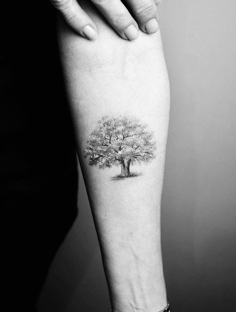 Fine Line Memorial Tattoos, Tree Tattoo Ribcage, Fine Line Tattoo Tree, Black And White Tree Tattoo, Big Tree Tattoo, Minimalist Oak Tree Tattoo, Fine Line Oak Tree Tattoo, Women’s Tree Tattoos, Fine Line Tree Tattoo