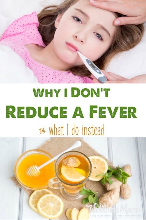 Fever is a natural response by the body and is part of the healing process. Find out why reducing a fever can be bad and what to do instead. Natural Fever Reducer, Home Remedies For Fever, Natural Remedies For Fever, The Healing Process, Holistic Health Remedies, Natural Cold Remedies, Natural Cough Remedies, Holistic Remedies, Cough Remedies