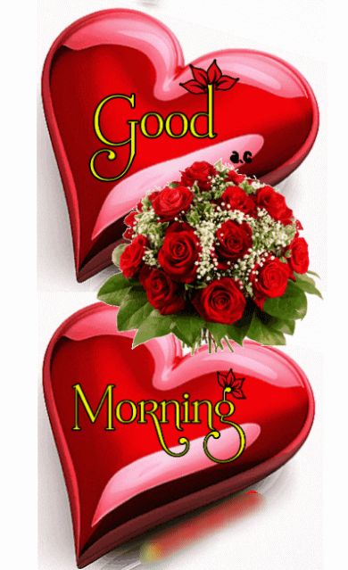 Good Morning Rose Images, Good Morning Massage, Good Morning Love Gif, Lovely Good Morning Images, Good Morning Flowers Rose, Good Morning Beautiful Gif, Good Morning Sweetheart Quotes, Good Night Flowers, Good Morning Flowers Quotes