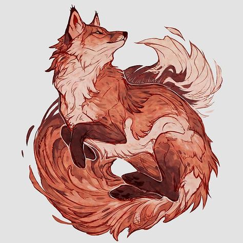 Art Fox, Fox Drawing, Canine Art, Mythical Creatures Art, Fox Art, Animal Sketches, 판타지 아트, Red Fox, A Drawing