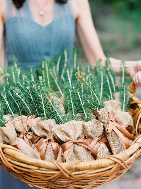 Flower and Plant Wedding Favor Ideas Plant Party Favors, Tree Wedding Favors, Plant Wedding Favors, Evergreen Wedding, Creative Wedding Favors, Inexpensive Wedding Favors, Winter Wedding Favors, Edible Favors, Edible Wedding Favors