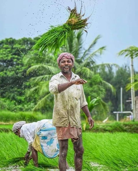 Rice Farming, Agriculture Photography, Rural Photography, Poor Things, Dark Background Wallpaper, Gals Photos, Wedding Couple Photos, Lord Rama, Cute Images For Dp