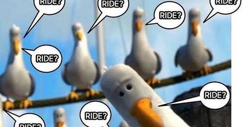 Penguin Road Racing School: Penguin Riding School - Street Rider Track Day Events Motorcycle Memes, Folding Mountain Bike, Cycling Quotes, Suspension Bike, Motorcycle Pictures, Road Bike Women, Mountain Bike Shoes, Cool Bike Accessories, Electric Mountain Bike