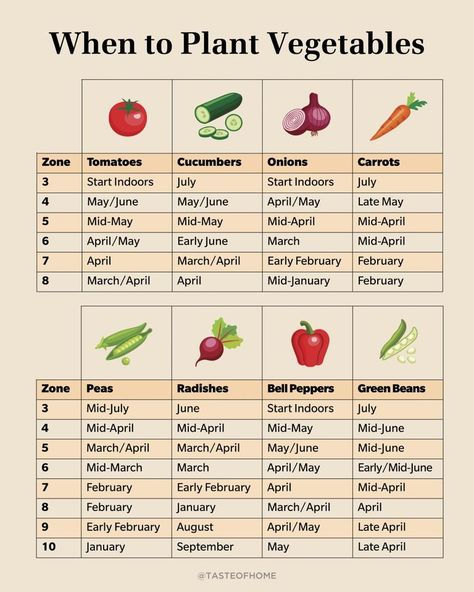 When to Plant The Most Popular Vegetables | Taste of Home Farmers Almanac 2023 Planting Guide, When To Plant Corn, Garden Nomes, When To Plant Cucumbers, When To Plant Garden, When To Plant Potatoes, Health Benefits Of Radishes, Vegetable Planting Calendar, Plant Vegetables