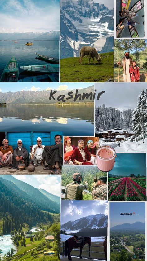 Nature's Finest Creation: Kashmir 🌸 #kashmiri #kashmir #nature #beauty #tulips #winter #love #wishlist #dream Vision Board