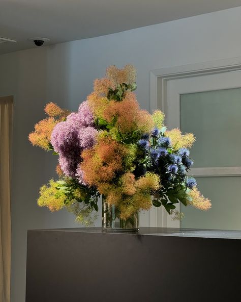 smokebush arrangement for @driesvannoten 🤍 Living Flower Arrangements, Cool Floral Arrangements, Artsy Flower Arrangements, Smokebush Arrangement, Flowers Display, Floristry Design, Boquette Flowers, Flowers Arrangements, Nothing But Flowers