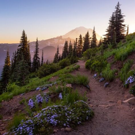 Pct Trail, Mountain Hiking Aesthetic, Mountain Vibes, Hiking Photography, Mountain Trail, Hiking Aesthetic, Thru Hiking, Nature Hikes, Pacific Crest Trail