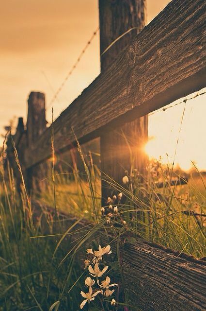 Beautiful Western Aesthetic Wallpaper, Country Backgrounds, Western Photography, Screen Savers Wallpapers, Pretty Backgrounds, Western Aesthetic, Wooden Fence, Backgrounds Phone Wallpapers, Iphone Background Wallpaper