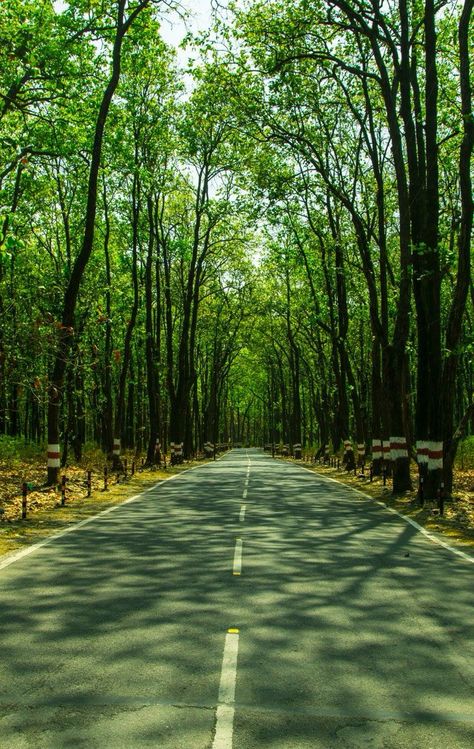 This was shot in dehradun In India Dehradun Photography, Canon 70d, Sliding Doors Interior, Dehradun, Photography Pictures, Doors Interior, Sliding Doors, Save The Date, Canon