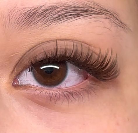 Beautiful brown wispy hybrid 🐻🤎 📍Nampa lash extensions #lashdecals #nampalashes #lashextensions #lashes #brownlashes #wispylashextensions #lashinspo Brown Lash Extensions, Wispy Hybrid, Wispy Lashes, Lash Extensions, Lashes, Quick Saves