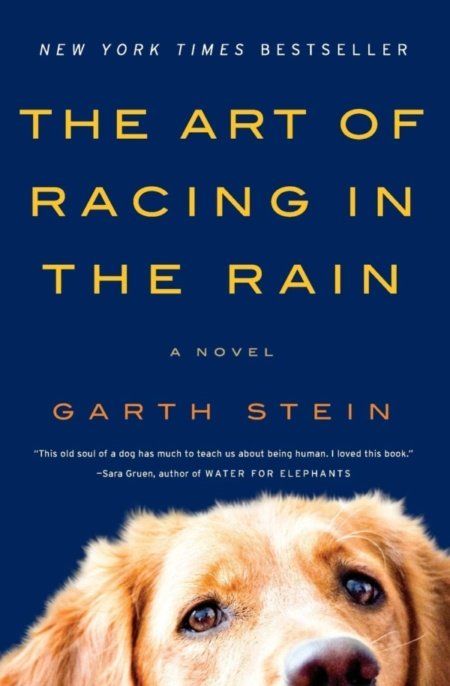 Racing In The Rain, John Ashton, Feel Good Books, Water For Elephants, Book People, Historical Novels, A Novel, In The Rain, Fiction Books