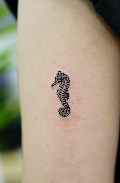 Tiny Tattoos Archives - TattManiaTattMania Seahorse Finger Tattoo, Tattoo Ideas Seahorse, Mini Seahorse Tattoo, Small Seahorse Tattoos For Women, Tiny Seahorse Tattoo, Fine Line Seahorse Tattoo, Seahorse Tattoo Tiny, Mini Octopus Tattoo, Tiny Octopus Tattoo