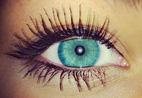 Blue eyes ♥ Longer Eyelashes Naturally, Dru Hill, Long Thick Eyelashes, How To Grow Eyelashes, Beautiful Eyelashes, Makeup Tricks, Longer Eyelashes, Gorgeous Eyes, Blue Eye