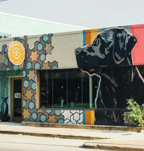 Dog Mural Wall, Dog Murals, Dog Mural, Dog Boutique Ideas, Dog Daycare Business, Animal Shelter Design, Austin Murals, Pet Store Design, Murals Ideas