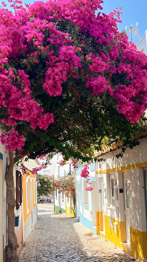 Portugal travel guide | Portugal travel | Best things to do in Portugal Portugal Summer Aesthetic, Portugal Living, Portugal Pictures, Portimao Portugal, Portugal Destinations, Things To Do In Portugal, Portugal Holiday, Portugal City, Portugal Aesthetic