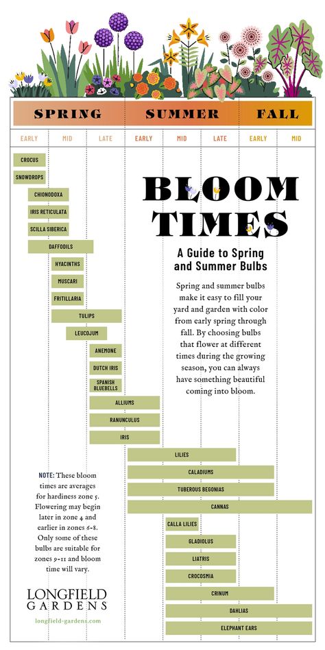 Flower Garden Plans, House Florida, Cut Flower Farm, Summer Bulbs, Time Planning, Flower Bulbs, Garden Bulbs, Cut Flower Garden, Have Inspiration