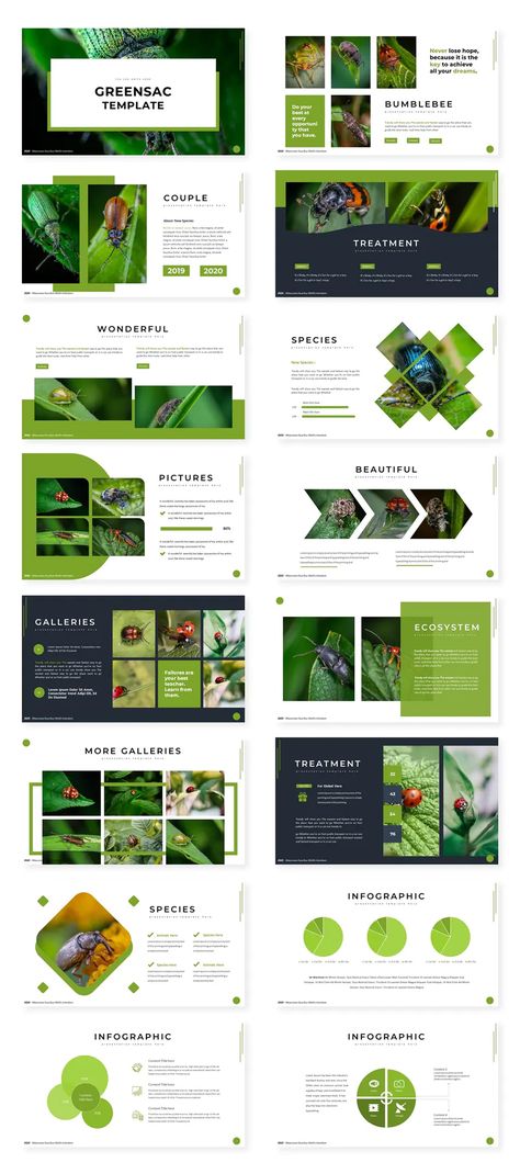 Eco Keynote Template Sustainability Presentation, Sustainability Brochure, Eco Infographic, Agenda Slide, Call To Actions, Keynote Design, Infographic Presentation, Powerpoint Presentation Design, Canva Design