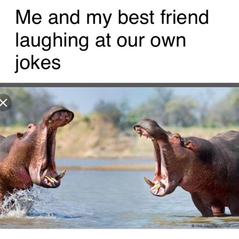 #besties #meme #relatable Best Friend Meme, Friendship Memes, Me And My Best Friend, Friend Jokes, Friend Memes, Best Friends Funny, Funny Animal Jokes, Crazy Funny Memes, Friends Quotes Funny