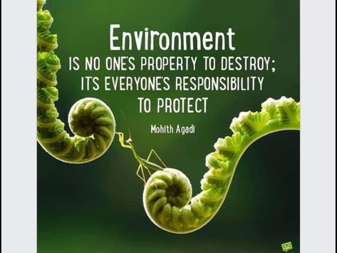 Environment Quotes Nature, Your Environment Quotes, World Environment Day Quotes, Quotes Environment, Environment Day Quotes, Saving Environment, Extraordinary Quotes, Earth Engagement Rings, Environment Issues