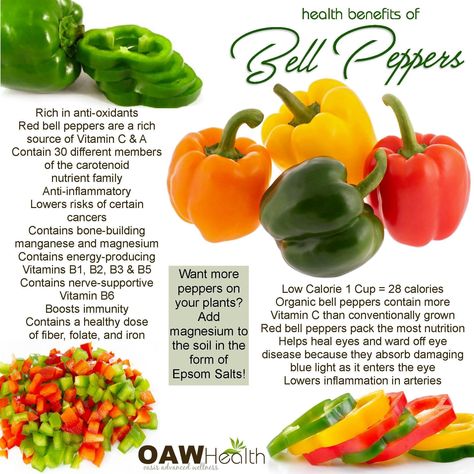 Bell Pepper Nutrition Facts, Bell Pepper Benefits Health, Pepitas Benefits, Benefits Of Bell Peppers, Bell Pepper Benefits, Pepper Benefits, Beauty Enhancement, Healthy Eating Meal Plan, Stuffed Peppers Healthy