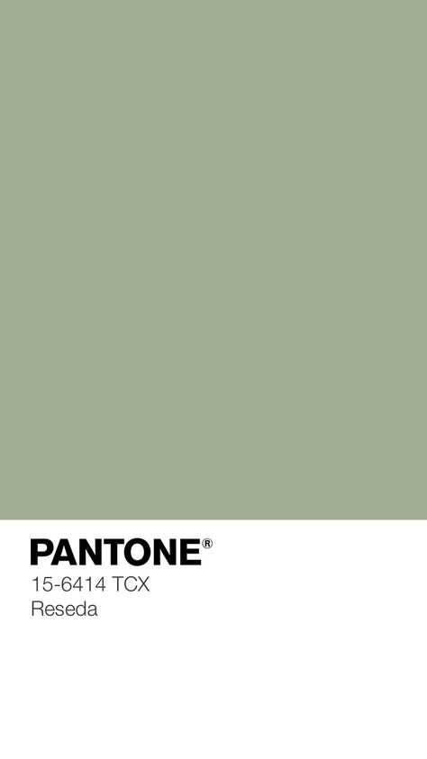 Unnoticeable Charm — Kid's Pattern Green Tones Palette, Shades Of Green Palette, Pantone Green Colors, Pantone Green Shades, Eucalyptus Color, Green Pantone, Pantone Green, Pantone Palette, Pista Green