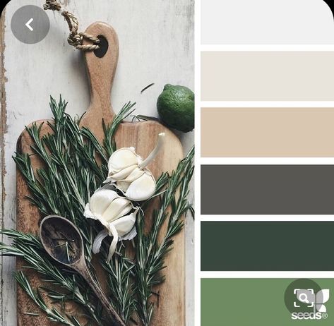 Grey Color Pallets, Seeds Color, Trendy Living Rooms, Design Seeds, Living Room Green, Color Palette Design, Color Balance, Green Wood, Natural Home Decor