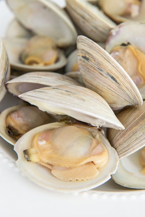 Clams On Grill, Cleaning Clams How To, Cooking Clams Recipes, Clam Broth Recipes, How To Clean Clams Before Cooking, Steam Clams Recipe, Manila Clams Recipe, How To Cook Clams In Shell, Cherry Stone Clams Recipes