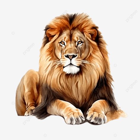 real lion white background 3d lion lion king png King Background, Png King, Lion White, Lion Png, King Png, Lion Clipart, 3d Lion, Transparent Image, Background 3d