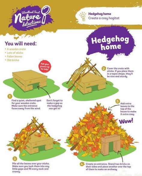 Hedgehog House Diy How To Make, Diy Hedgehog House, Forest School Ideas, Woodworking Software, Forest School Activities, Hedgehog House, About Trees, Nature School, Outdoor Education