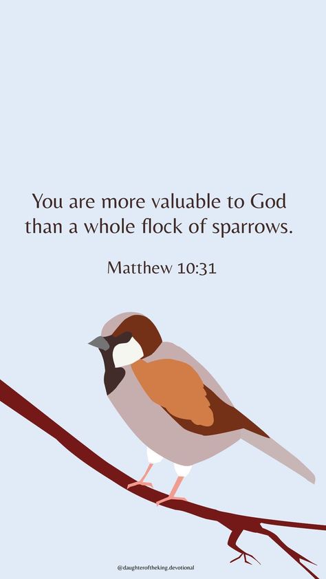 Sparrow sitting on a tree branch You Are Valuable To God, Matthew 10 31, Matthew 10, Christian Love, Christian Motivation, Inspirational Bible Quotes, Inspirational Bible Verses, Biblical Quotes, Bible Verses Quotes Inspirational